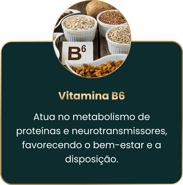b6